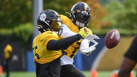 Carter's Classroom: Bush, Schobert key to plugging up Bills' Allen taken on the South Side (Steelers)